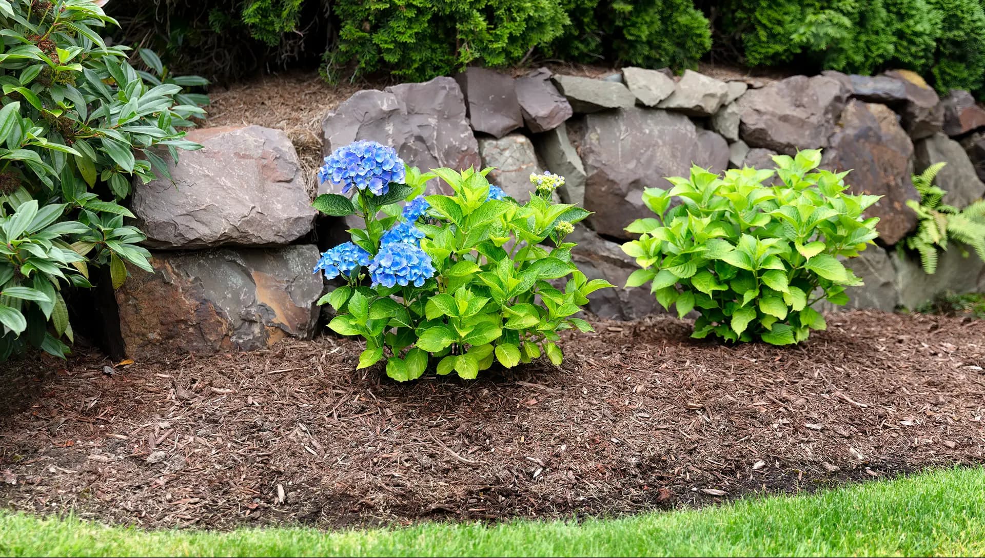 Flower bed hero image